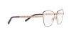 0DG1346 1333 OPTICAL