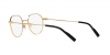 DG1349 Eyeglasses