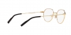DG1349 Eyeglasses