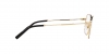 DG1349 Eyeglasses