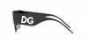 DG2233 Sunglasses