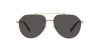 DG2288 Sunglasses
