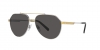 DG2288 Sunglasses