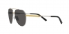 DG2288 Sunglasses