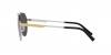 DG2288 Sunglasses