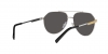 DG2288 Sunglasses