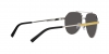 DG2288 Sunglasses