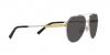 DG2288 Sunglasses