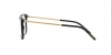 DG3349 Eyeglasses