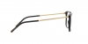 DG3349 Eyeglasses