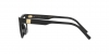 0DG3359 501 OPTICAL