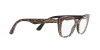 0DG3360 3163 OPTICAL