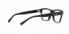DG3362 Eyeglasses