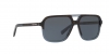 DG4354 Sunglasses