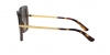 DG4373 Sunglasses