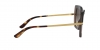DG4373 Sunglasses