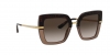 DG4373 Sunglasses