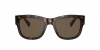 DG4390F Sunglasses