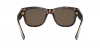 DG4390F Sunglasses