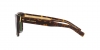 DG4420F Sunglasses