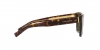 DG4420F Sunglasses
