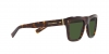 DG4420F Sunglasses