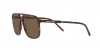 DG4423F Sunglasses