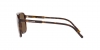 DG4423F Sunglasses