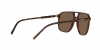 DG4423F Sunglasses