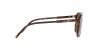 DG4423F Sunglasses