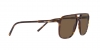 DG4423F Sunglasses