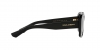 DG4430 Sunglasses