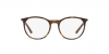 DG5031 Eyeglasses