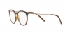 DG5031 Eyeglasses