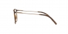 DG5031 Eyeglasses