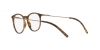 DG5031 Eyeglasses