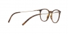 DG5031 Eyeglasses