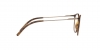 DG5031 Eyeglasses