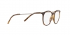 DG5031 Eyeglasses