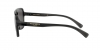 DG6134 Sunglasses