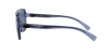 DG6134 Sunglasses