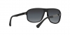 EA4029 Sunglasses