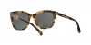 EA4118 Sunglasses