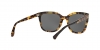 EA4118 Sunglasses