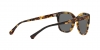 EA4118 Sunglasses
