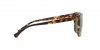 EA4118 Sunglasses