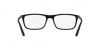 EA4160 Sunglasses