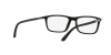 EA4160 Sunglasses