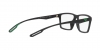 EA4189U Sunglasses