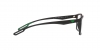 EA4189U Sunglasses